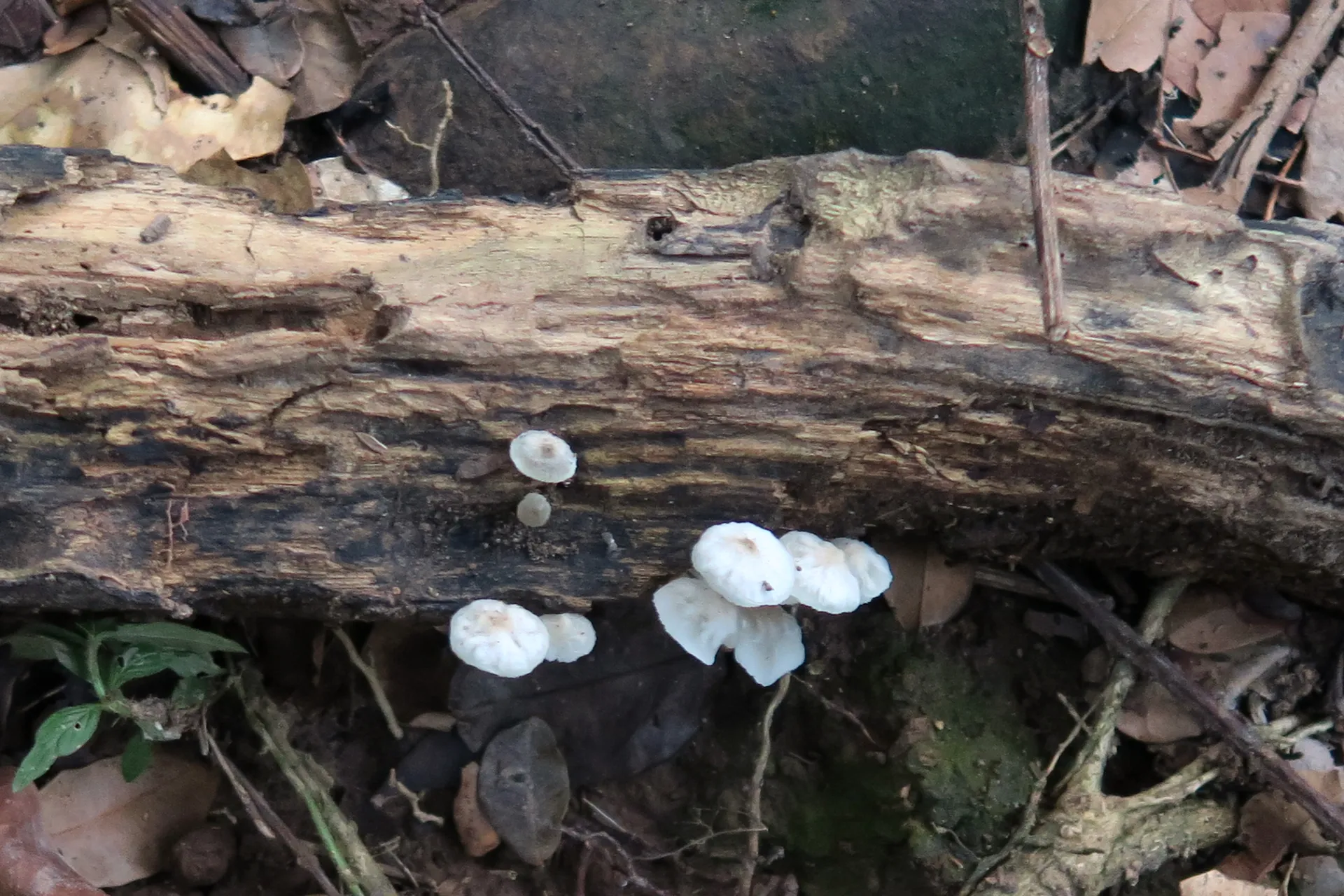 1 -